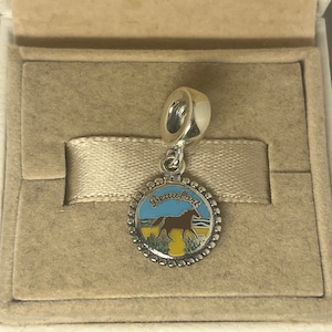 Pandora Beaufort South Carolina USA Dangle Charm Pendant S925 Silver Jewelry for Bracelet for Necklace Mixed Enamel with Gift Box