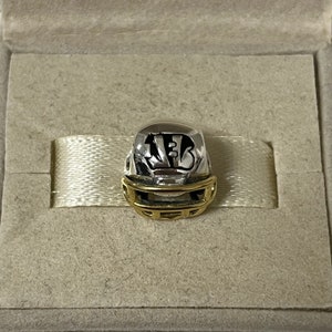 May include: A silver and gold football helmet charm with a black letter 'F' on the side.