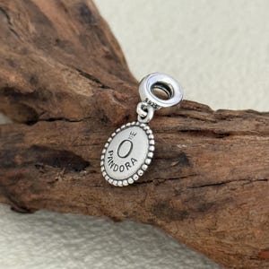 Colgante exclusivo de Riviera Maya, joyería de plata de ley S925, colgante para pulsera, colgante para collar, artesanía de esmalte. imagen 3