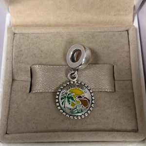 May include: A silver charm with a round pendant featuring a colourful design of a frog, palm tree, and the words "Puerto Rico." The charm is in a beige box.