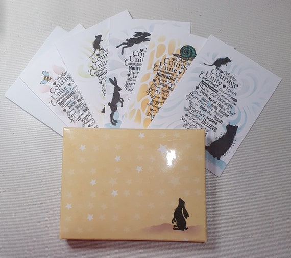 EnveloBox and 5 Angies Choice Cards Gift Set