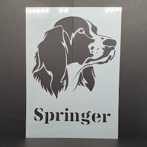 Springer Stencil