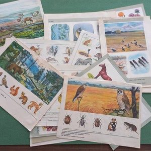 Set vintage dierenposters 17-delig schetsboek voor logische oefeningen USSR 1970