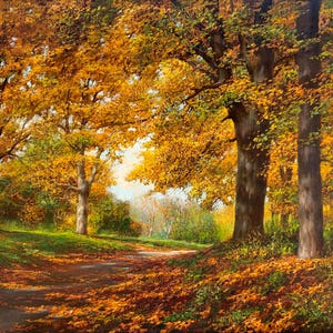 Autumn morning in the Botanical Garden. Original painting by Ukrainian artist Metelkin L. 67–90 cm, oil on canvas, 2000s.