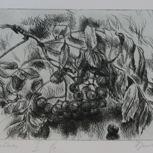 Rowan.Artista ucraino Prizant L. 12-16 cm, incisione su carta, anno 1993