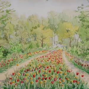 Tulpen.Original-Gemälde vom Ukrainischen Künstler Sarankov A. 29-41 cm, Aquarellpapier, 1968 Jahr