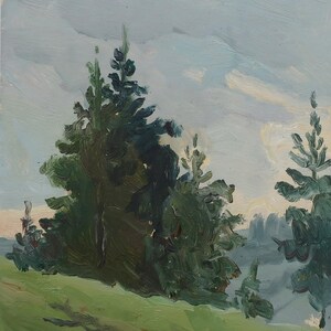Paisaje. Pintura original del artista ucraniano Polyakov S. 28-19 cm, óleo sobre cartón, década de 2000