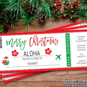 Fake Ticket To Hawaii Boarding Pass, Printable Christmas Gift, Surprise Trip Reveal, Holiday Flight, Instant Download, Editable Text _303