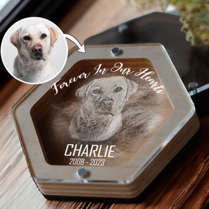 Custom Pet Hair Keepsake | Pet Hair Memorial Box | Dog Fur Keepsake | Personalized Dog Portrait Gift | Engraved Loss of Pet Gifts