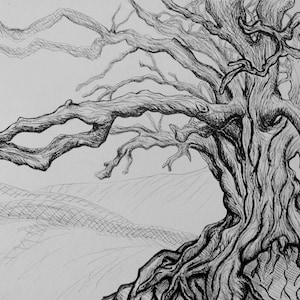 At the Feet of Our Ancestors - Ink Drawing of an Oak Tree