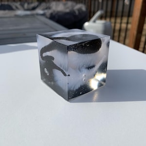 Customizable Multicolored Set of 28 Dominoes