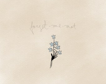 Forget me not 1080P 2K 4K 5K HD wallpapers free download  Wallpaper  Flare