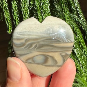 以下が含まれることがあります： ベージュ、グレー、白の色合いで独特の渦巻き模様が施されたハート型の石。 手に持たれており、背景には緑の葉があります。 石の幅は約7.6cmです。