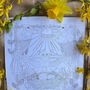 Blue Jays Coloring Page: Spring Birds, Nest & Sunshine (PDF, PNG, JPEG Digital Download)