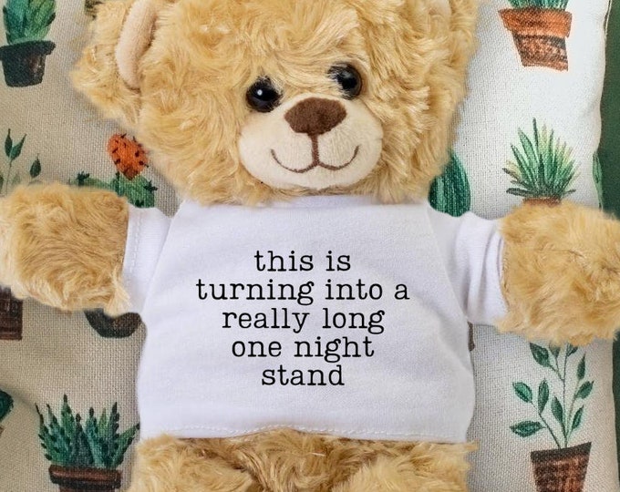 Funny Anniversary Gift - This is Turning Into a Really Long One Night Stand - Funny Valentines Day Teddy Bear