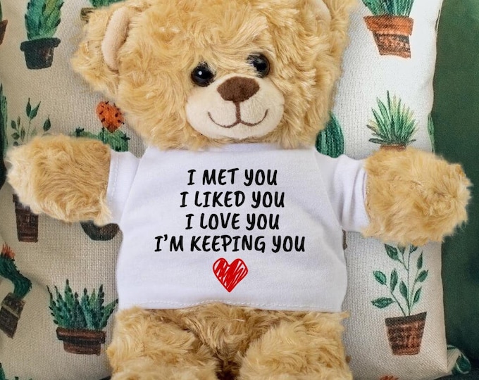 I Met You I Liked You I Love You I'm Keeping You Teddy Bear - Funny Valentine's Day Anniversary Gift