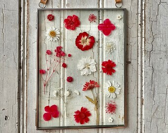 Pressed Flower Art, Botanical Art, Floating Frame, Wall Decor, Gift