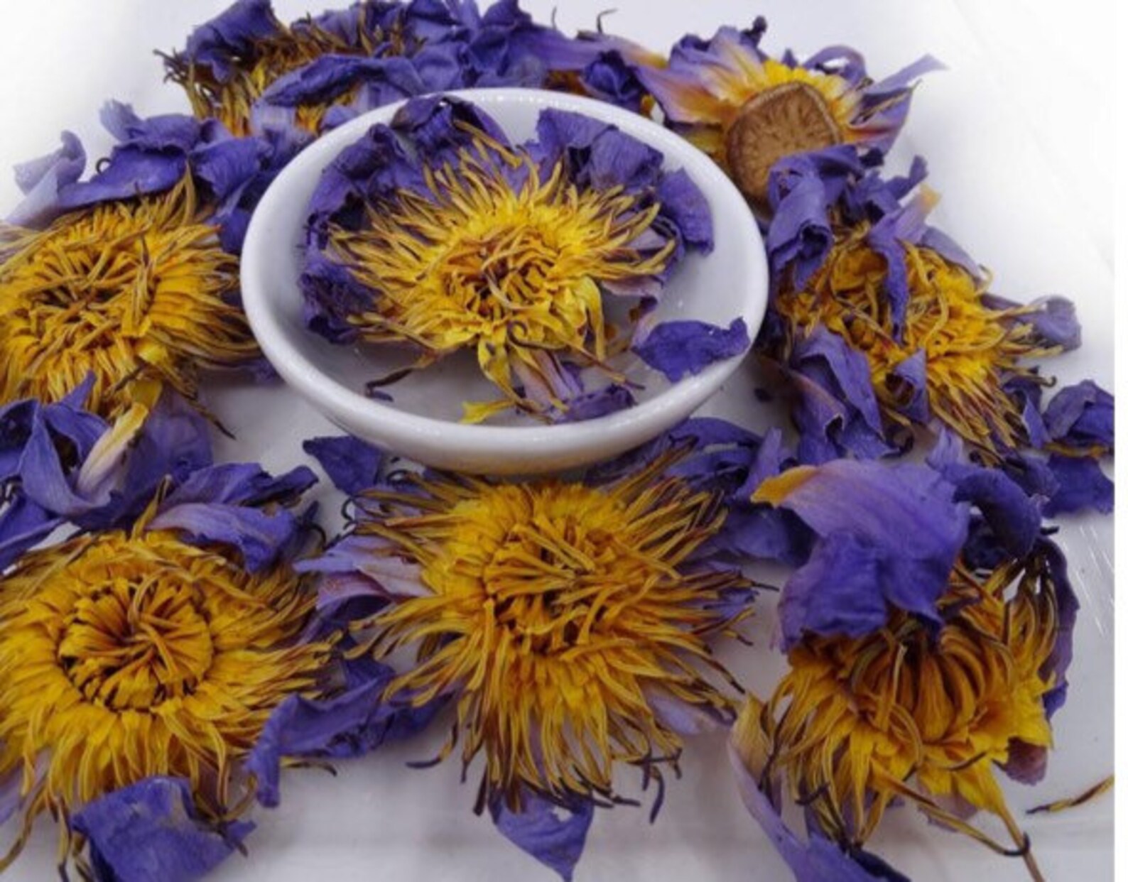 Organic Blue Lotus whole dried Etsy