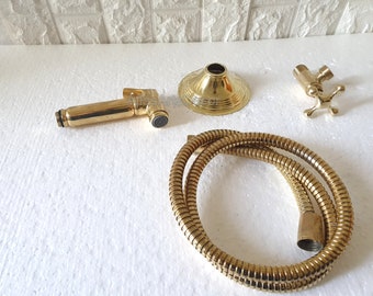 May include: A gold-toned bathroom bidet sprayer set with a handheld sprayer, a hose, a wall mount, and a decorative cover plate.