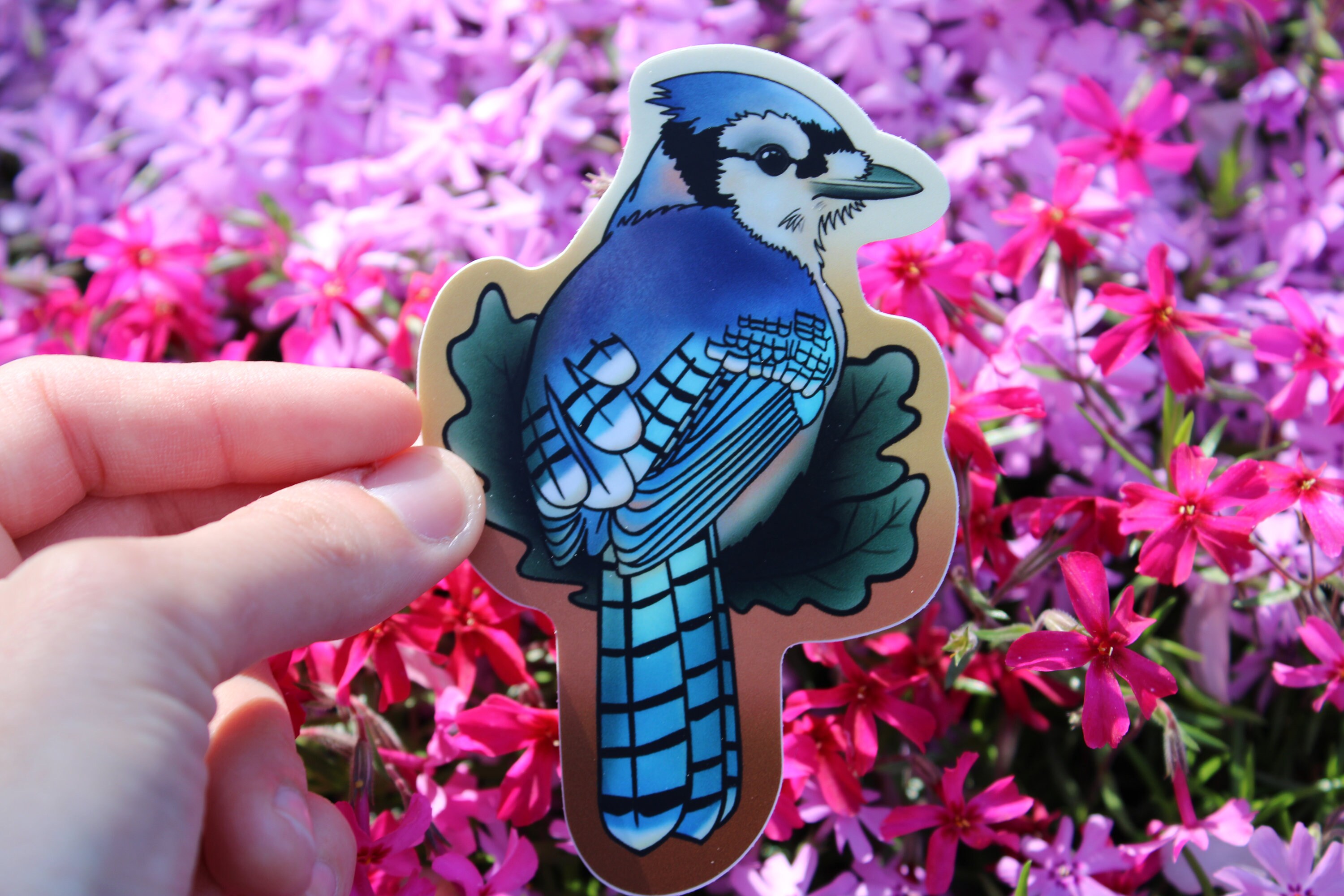 Blue Jay Sticker Bird Cottage Core Sticker Etsy