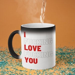 I Fucking Love Fucking You (Ceramic Mugs) Funny Valentine's Day Gifts for Offensive Couples