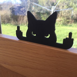 Novelty Cat ornament or display on door or wall. UPDATED MAR-24 image 2