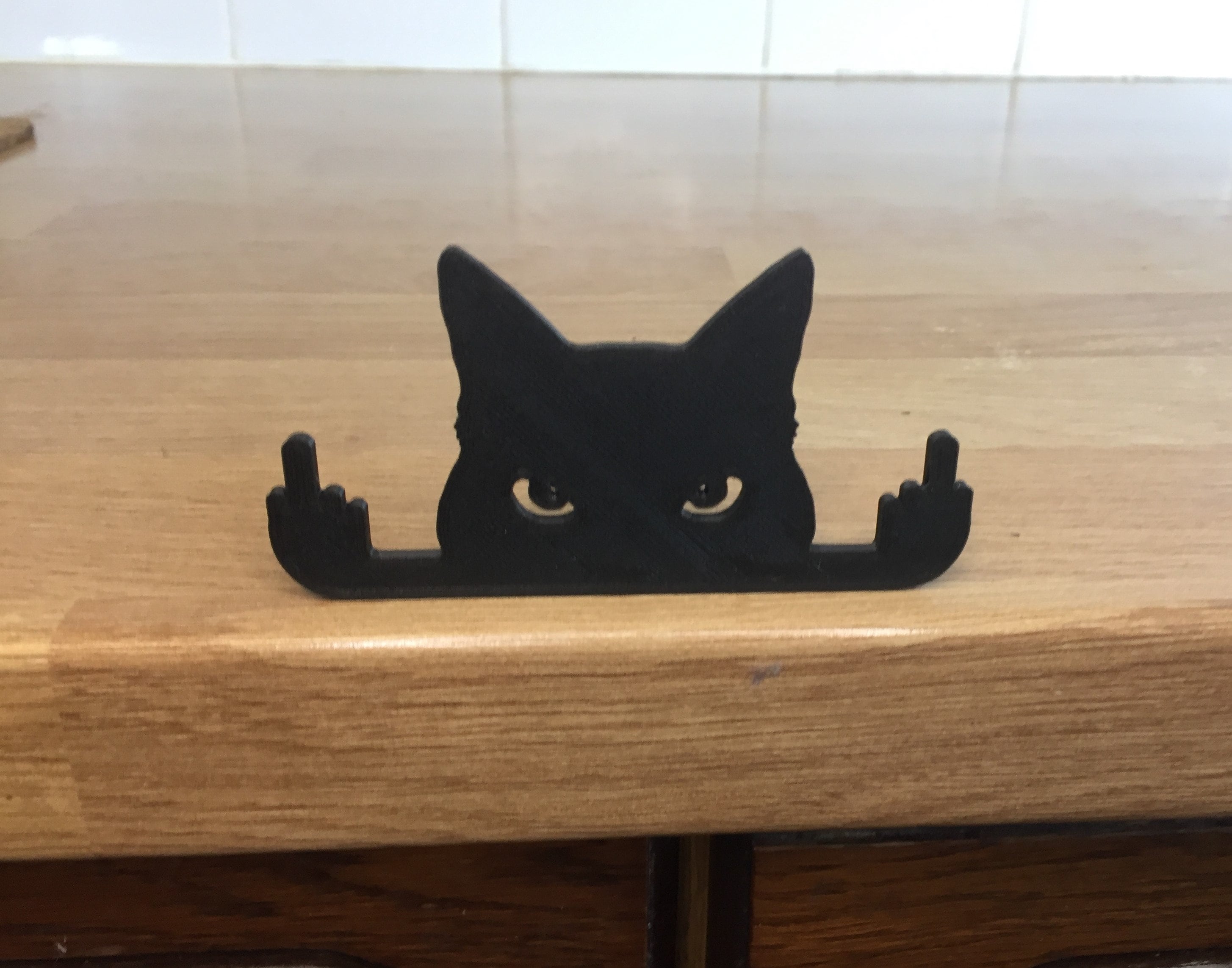 Novelty Cat Ornament Or Display On Door Or Wall