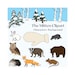 The Mitten by Jan Brett, Characters, Mitten, and Background Clipart 20 ...