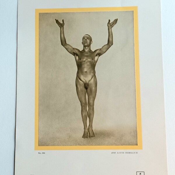 Beau nu masculin frontal - Salut au soleil - Impression à partir d'une photo allemande de Lotte Herrlich - Mouvement naturiste - 1922