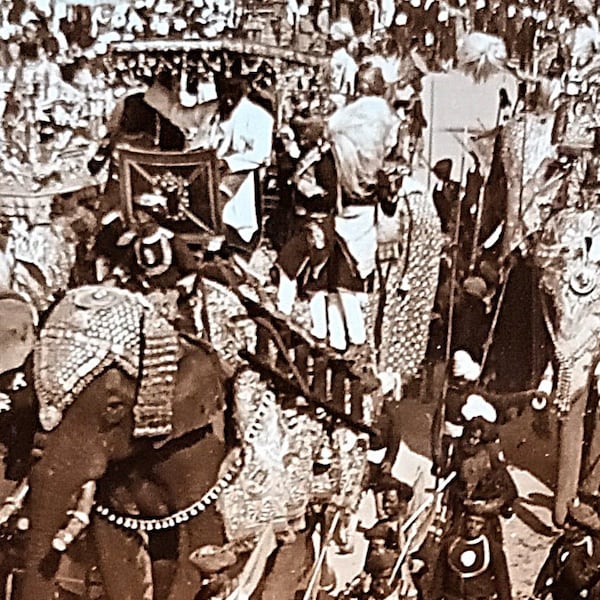 Photographie stéréoscopique ancienne - Indes - Durbar - Delhi - Parade de princes indiens sur leurs éléphants - 1900