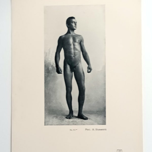 Beautiful male nude - Virile full frontal nude man - Print from a German photo - Naturist movement - 1923