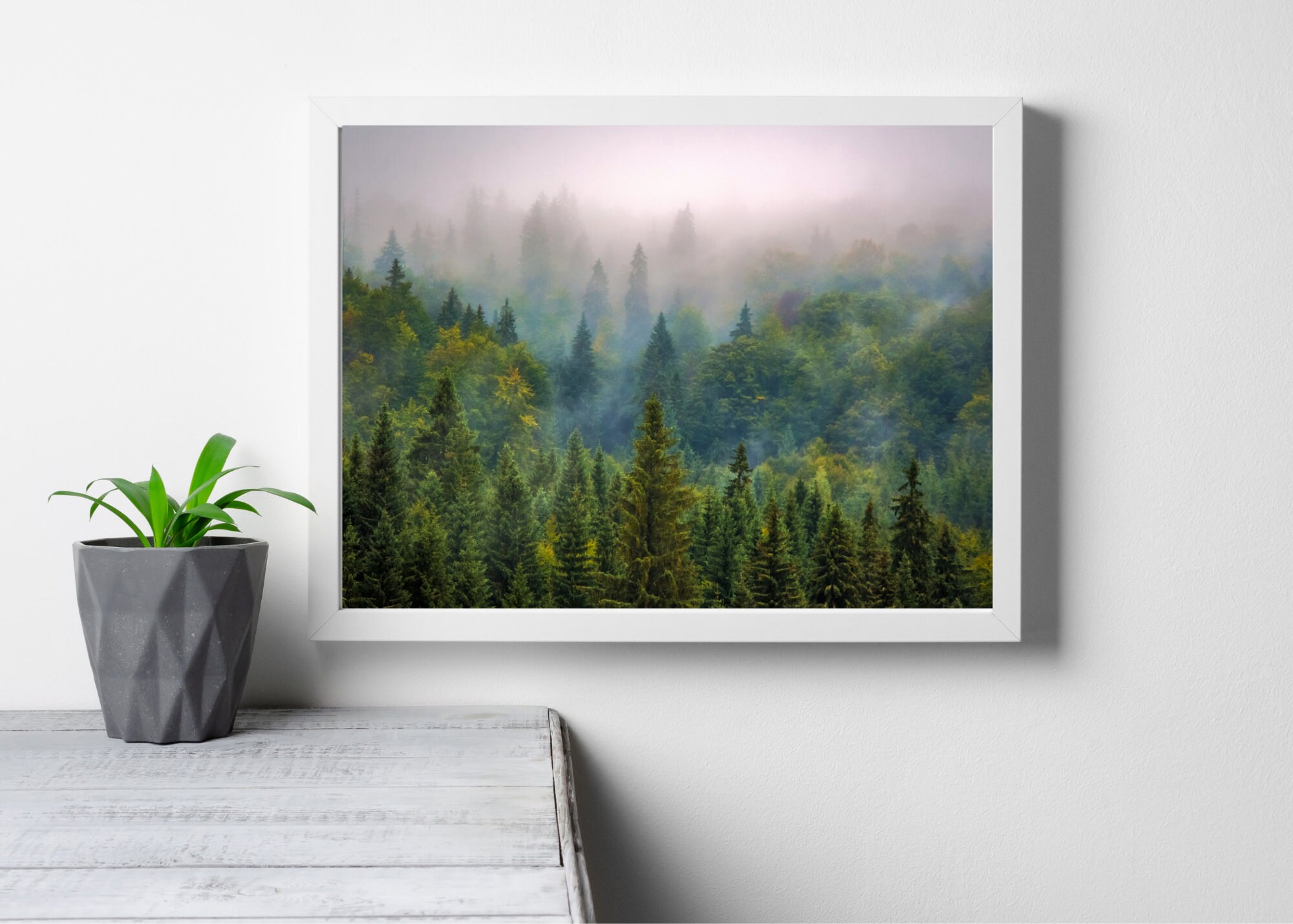 Misty Forest Print Forest Printable Wall Art Forest in Fog - Etsy