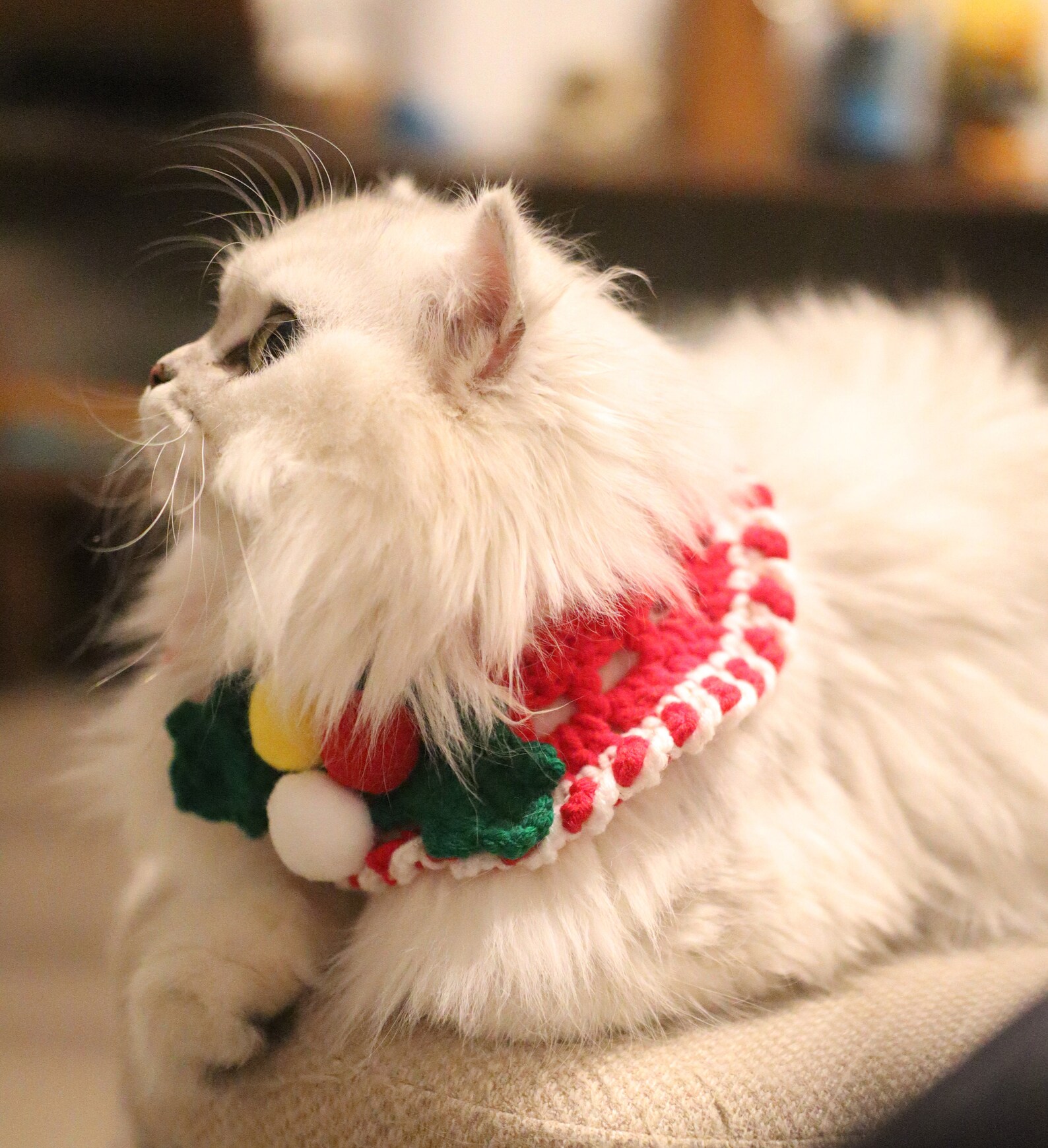 Christmas cat pet collar bib Christmas cat costume knitted Etsy