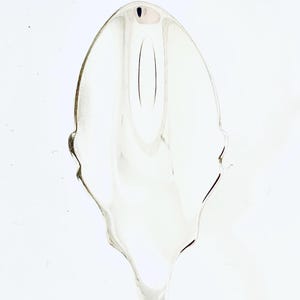 Personalised jam/ preserve/ honey/ chutney/ pickle spoon