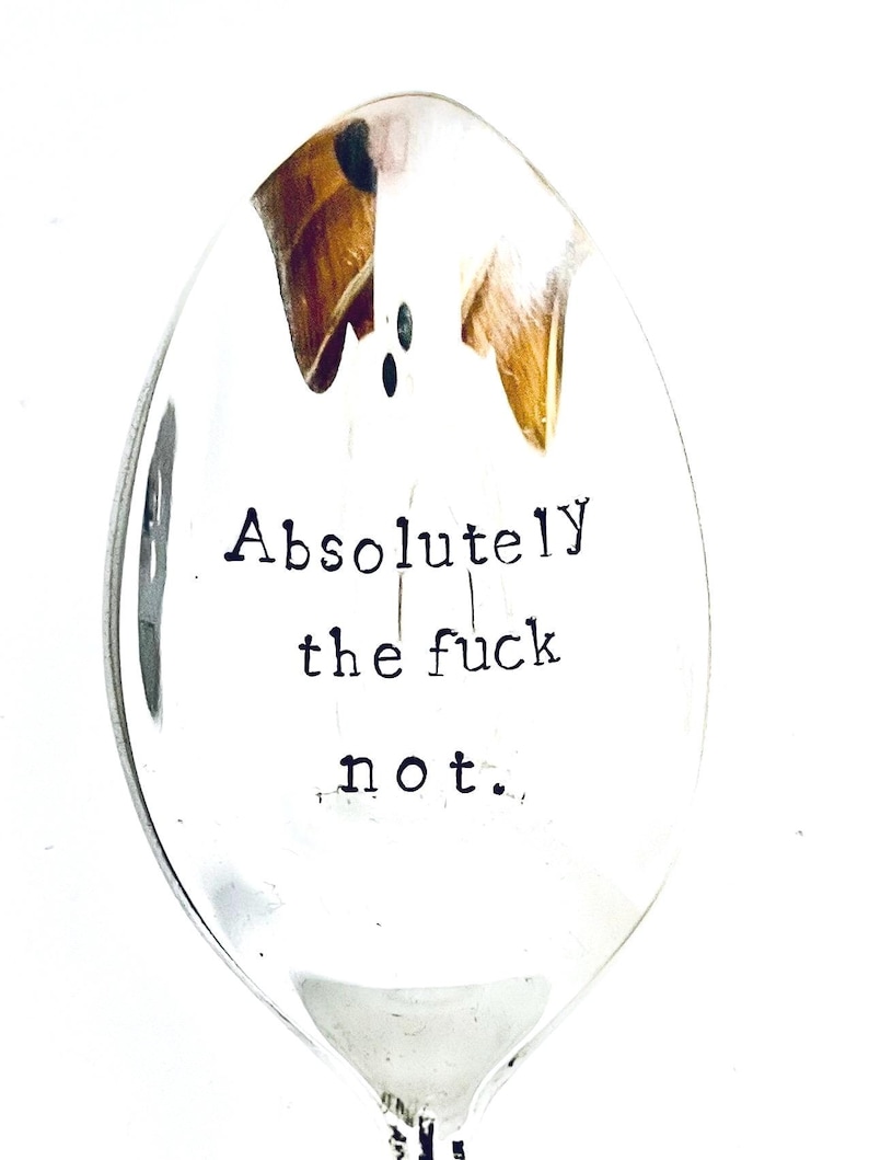 Absolut zum Scheitern nicht Bild 1