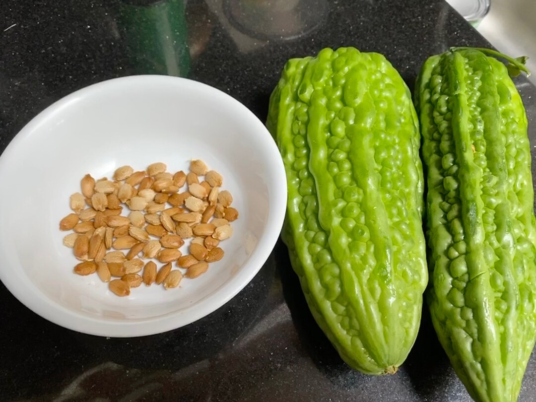 Bitter Melon Seeds 12 Seeds FREE SHIPPING Etsy