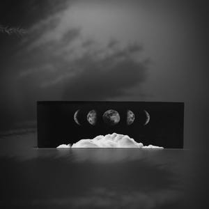 Marcador de página da lua "Lunar" Arte de parede | Impressão | Marcador de página | Natureza | Boho | Flor | Lua