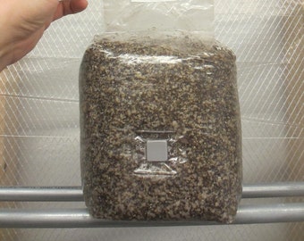 PF-Tek Big Bag (3 LBS!) - BRF Inspired Substrate- All in One Bag for Mushrooms - Great for Spores - Inoculate and Fruit - Injection Port