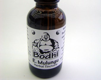 Mulungu Herbal Tincture - Brazilian Erythrina Mulungu Bark