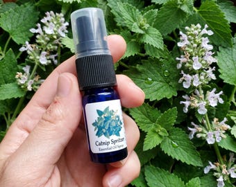 Catnip Essential Oil Spray – Natural Cat Treat Aromatherapy (10 mL)