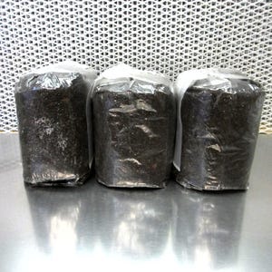 Mushroom Bulk Substrate - 12 LBS - Dung Lovers - Pasteurized Manure, Worm Castings, Coco Coir, Vermiculite - Fast Colonizing!
