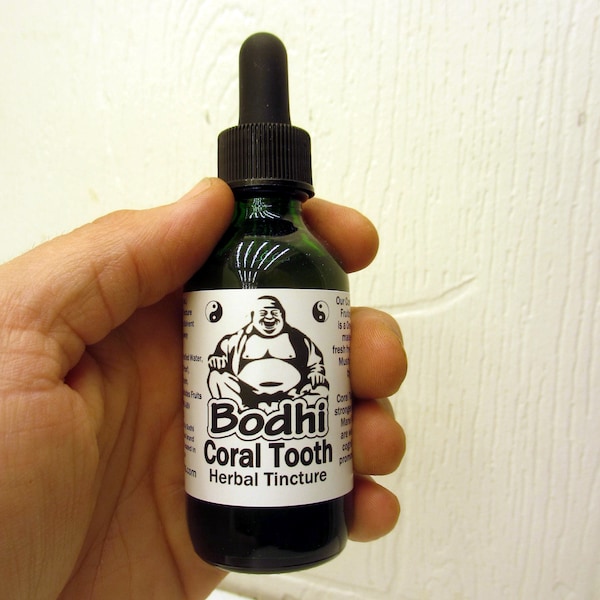 Coral Tooth Mushroom Tincture (H. coralloides) - Stronger than Lion's Mane & Grown in USA!