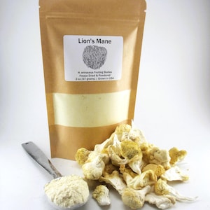 Lion&#39;s Mane Powder 100% Fruiting Bodies Dehydrated (Freeze Dried) - Grown in USA - Bioavailable - Flavor like Fresh!