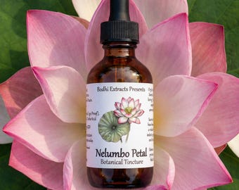 Sacred Lotus Herbal Tincture - Nelumbo Nucifera Flower Petal Liquid Extract