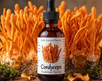 Dual Extracted Cordyceps Mushroom Tincture – Whole Fruiting Bodies Extract