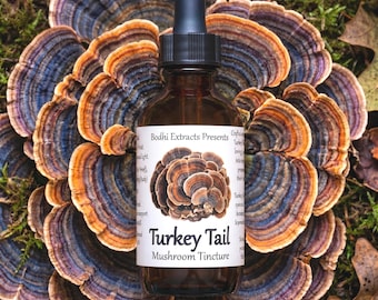 Wild-Harvested Turkey Tail Mushroom Tincture – Dual Extracted Fruiting Bodies Extract