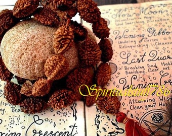 Spiritualstuff786 Maa Kaali Maha Meru Wealth Talisman