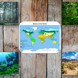 Biome der Welt-Montessori-Kontinent Taschen-Kontinent Box
