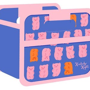 May include: A blue storage bin with a light pink frame and handle. The blue panels feature a repeating pattern of small pink and orange gummy bear shapes. The name Kimberly Kight is printed in a cursive pink font on the lower right side panel.