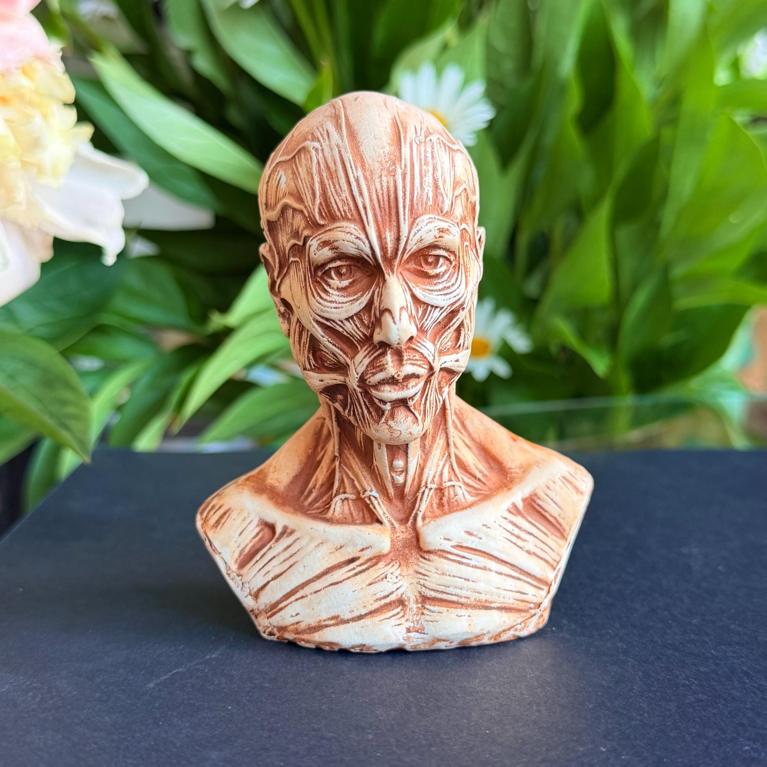 Ecorche - Etsy 日本